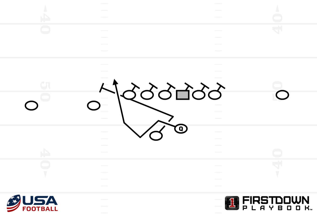 Learning from Houston Diversity in the Run Game